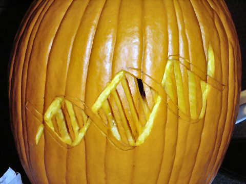 DNA Pumpkin Carving